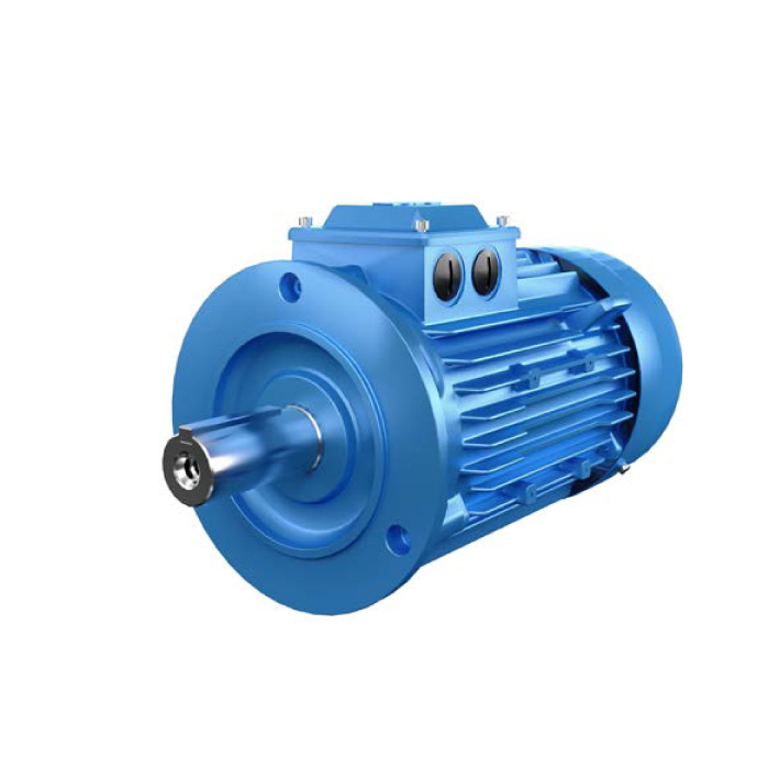 IE5 M2BAJ系列電機(jī)